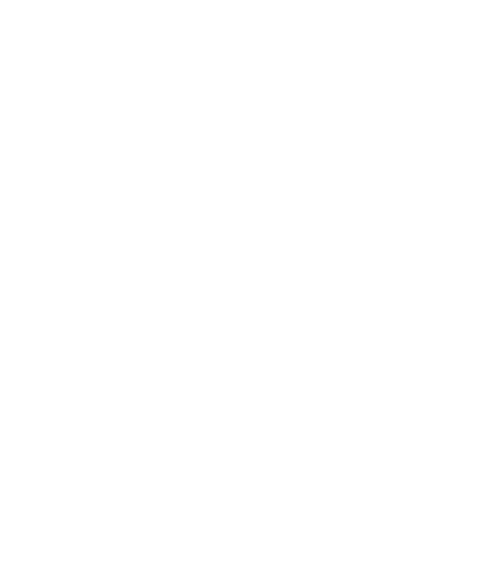 Frontpage siasar spanish